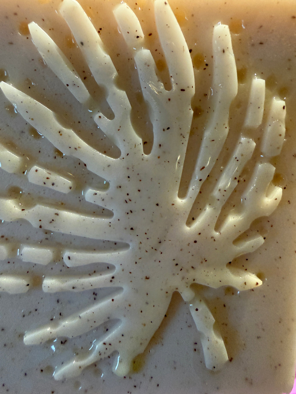 Olive Oil + Goat Milk Soap